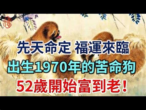 1970 屬狗 一生|【1970屬狗一生】1970屬狗一生運勢大公開：關鍵坎坷與終身好。